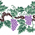 Grappe